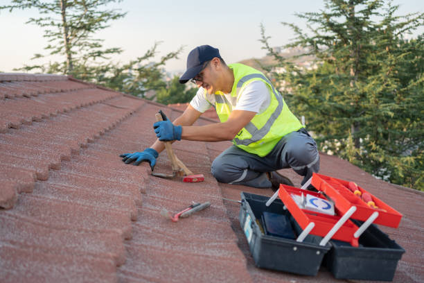 Best Roof Maintenance Services  in East Rutherford, NJ