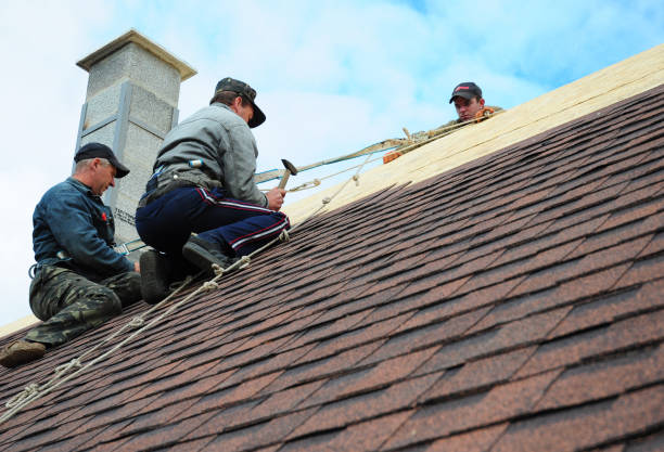 Best Residential Roofing Contractor  in East Rutherford, NJ